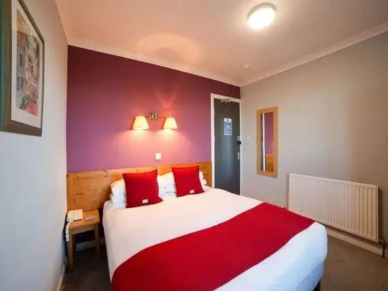 Standard Tek Büyük Yataklı Oda, 1 Çift Kişilik Yatak