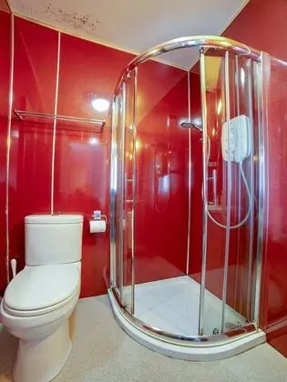 Standard Tek Büyük Yataklı Oda, 1 Çift Kişilik Yatak