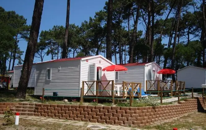 Bungalov Capacity 2