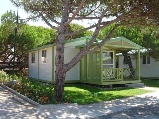 Bungalov Capacity 5