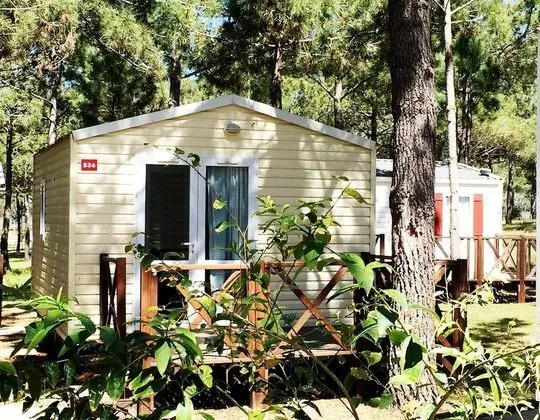 Bungalov, 1 Yatak Odası (Vénus)