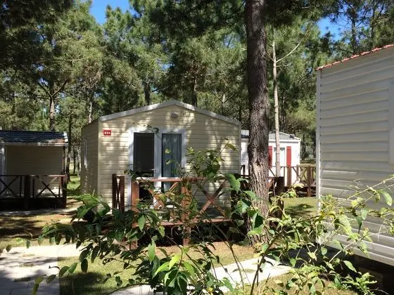 Bungalov Capacity 2