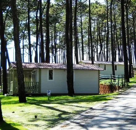 Bungalov, 1 Yatak Odası (Atlântico)