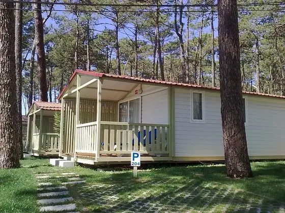 Bungalov Capacity 2