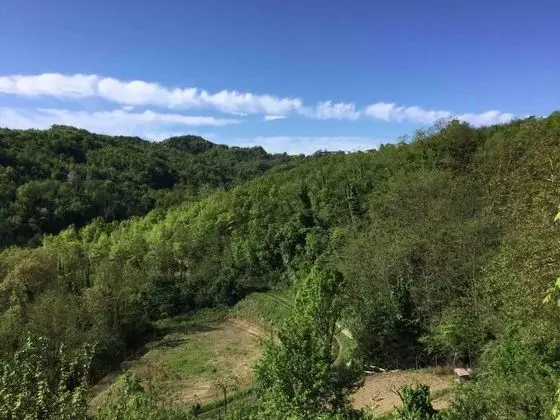 Ev, 2 Çift Kişilik Yatak