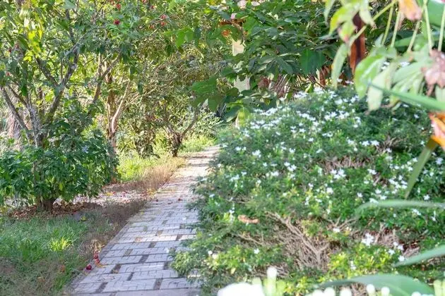 Deluxe Bungalov, Balkon, Bahçe Manzaralı