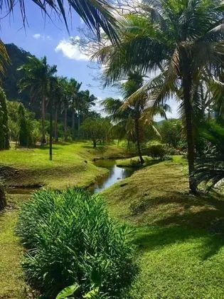 Deluxe Bungalov, Bahçe Manzaralı