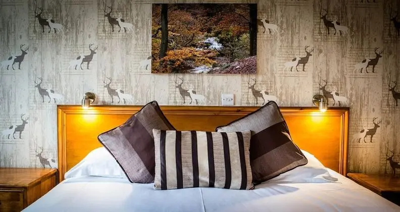 Deluxe Tek Büyük veya İki Ayrı Yataklı Oda