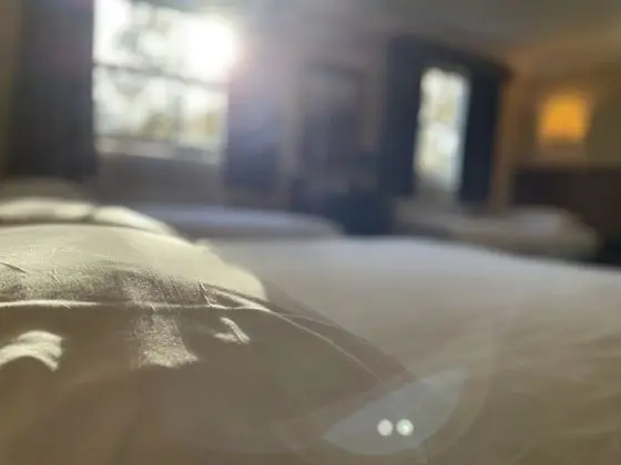 Standard Dört Kişilik Oda