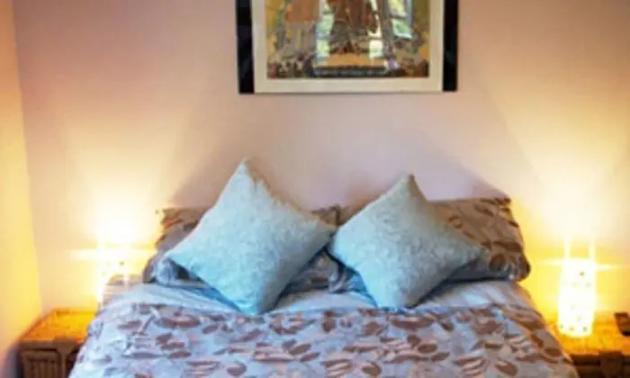 Tek Büyük Yataklı Oda, Banyolu/Duşlu (Room 2)