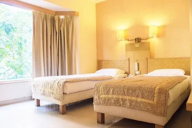 Deluxe İki Ayrı Yataklı Oda, Şehir Manzaralı