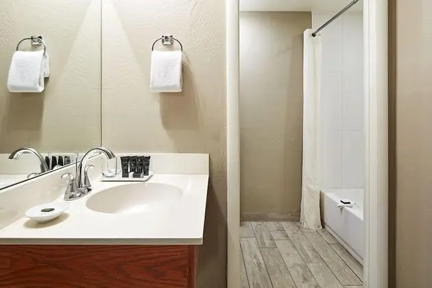 Premium Süit, 1 Yatak Odası (1 Bedroom)