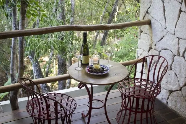 Jungle Suite w/private bathtub