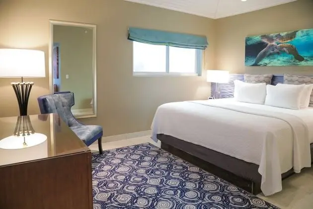 Junior Spa King Suite