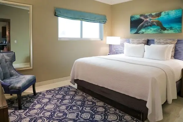 Junior Spa King Suite