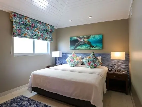 Junior Spa King Suite