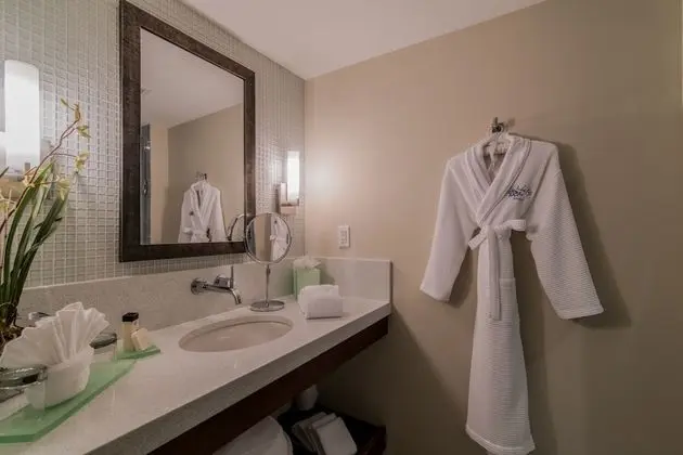 Junior Spa King Suite