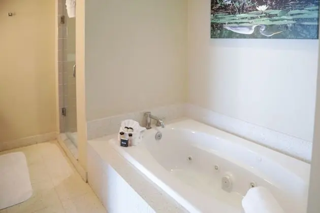 Junior Spa King Suite
