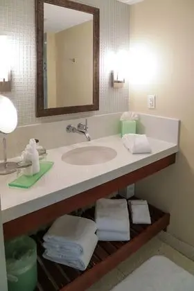 Junior Spa King Suite