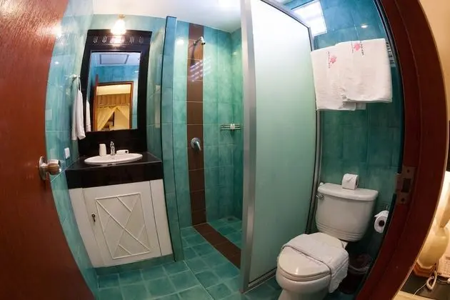 Çatı Katı Süiti (Penthouse)