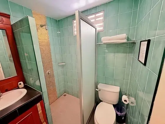 Çatı Katı Süiti (Penthouse)
