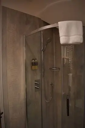 Tek Büyük Yataklı Oda, Banyolu/Duşlu (Beech)