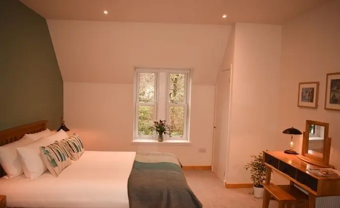 Tek Büyük Yataklı Oda, Banyolu/Duşlu (Oak)