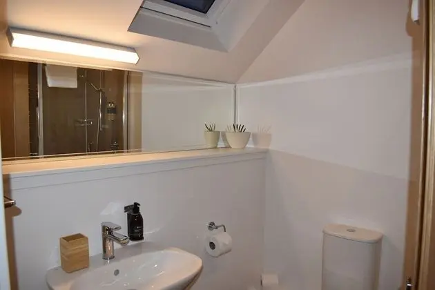 Tek Büyük Yataklı Oda, Banyolu/Duşlu (Oak)