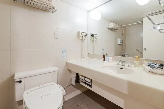 Deluxe İki Ayrı Yataklı Oda, Sigara İçilebilir