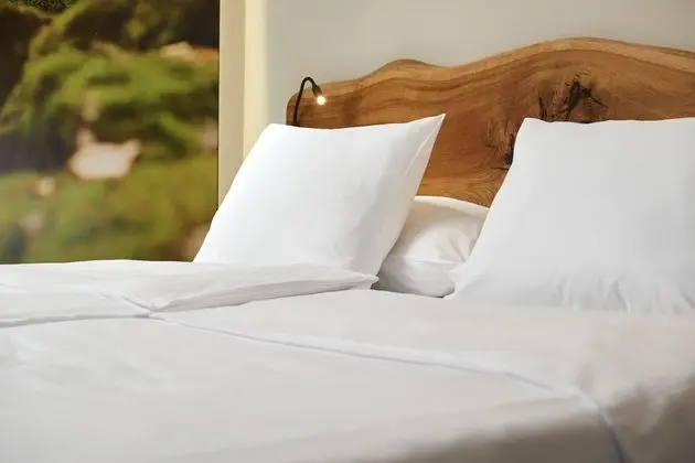 Deluxe Oda (with Extrabed)