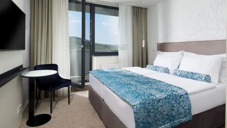 Deluxe Tek Büyük veya İki Ayrı Yataklı Oda (1 x daily Spa Access)