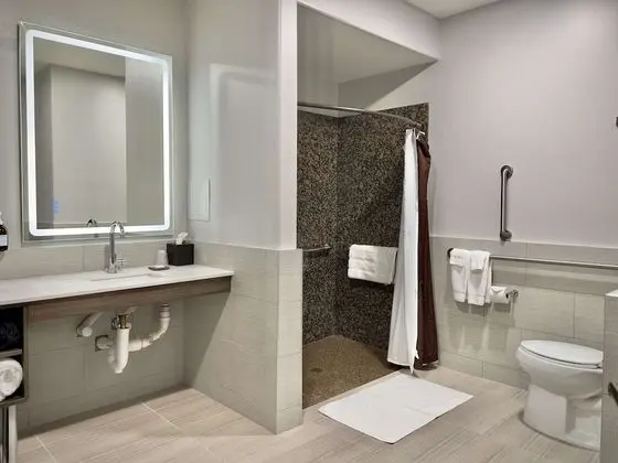 Oda, 1 En Büyük (King) Boy Yatak, Engellilere Uygun (Mobility, Roll-In Shower)