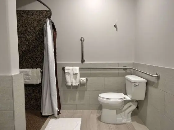 Oda, 1 En Büyük (King) Boy Yatak, Engellilere Uygun (Mobility, Roll-In Shower)