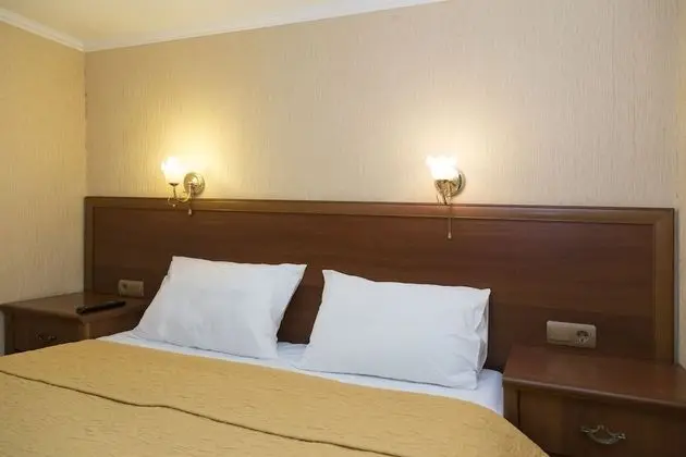 Standard Tek Büyük Yataklı Oda, 1 En Büyük (King) Boy Yatak, Sigara İçilmez, Şehir Manzaralı