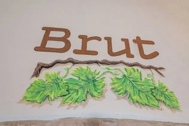 Tek Büyük Yataklı Oda (Brut)