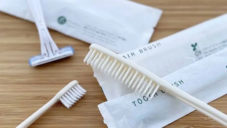 Superior İki Ayrı Yataklı Oda (Japanese Style)