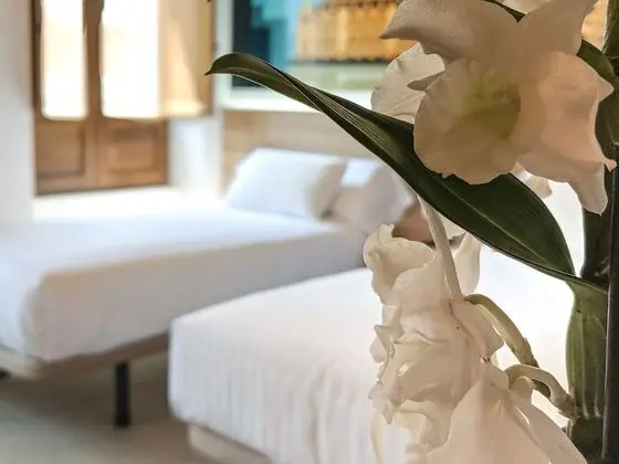 İki Ayrı Yataklı Oda