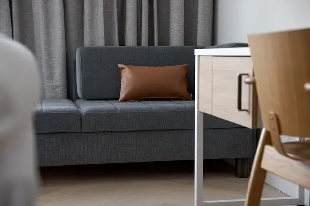 Superior Oda, 2 Tek Kişilik Yatak (with Sofabed)