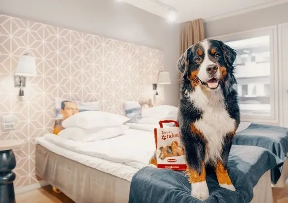 Standard İki Ayrı Yataklı Oda (extra bed possibility)