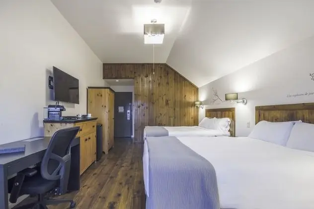 Superior Oda, 2 Büyük (Queen) Boy Yatak, Kısmi Göl Manzaralı