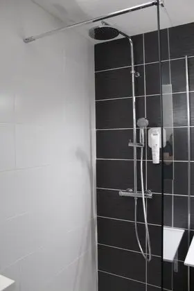 Süit