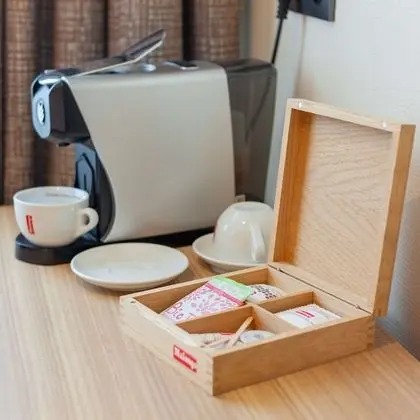 Deluxe Oda, 2 Tek Kişilik Yatak, Sigara İçilmez