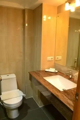 Deluxe İki Ayrı Yataklı Oda, 1 Yatak Odası, Sigara İçilmez, Şehir Manzaralı
