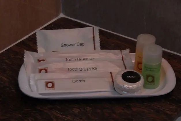 Deluxe İki Ayrı Yataklı Oda, 1 Yatak Odası, Sigara İçilmez, Şehir Manzaralı