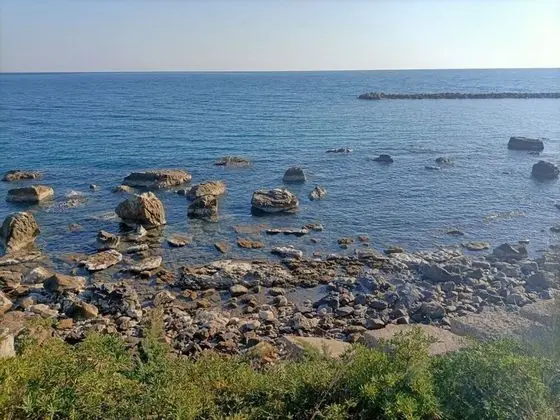 Apart Daire, 1 Yatak Odası, Balkon