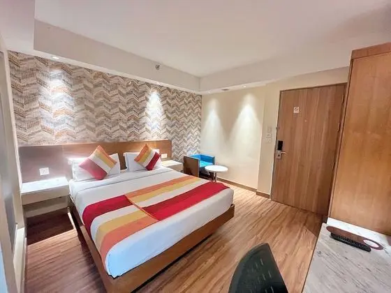 Executive Oda, 1 Çift Kişilik Yatak, Sigara İçilmez, Şehir Manzaralı
