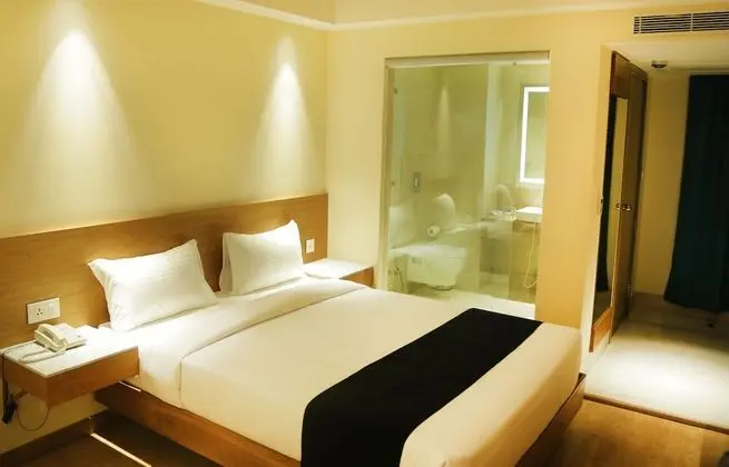 Executive Oda, 1 Çift Kişilik Yatak, Sigara İçilmez, Şehir Manzaralı