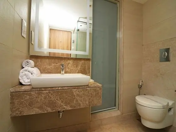 Executive Oda, 1 Çift Kişilik Yatak, Sigara İçilmez, Şehir Manzaralı