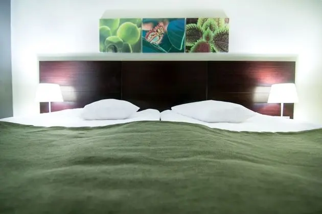 Standard Twin Room with panoramic view