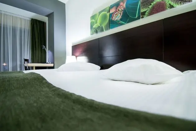 Standard Twin Room with panoramic view